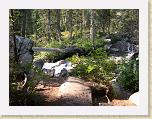176. bosco fiume * 2272 x 1704 * (2.71MB)